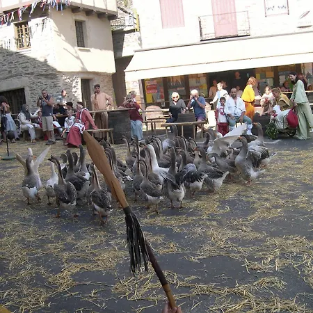 Hotel Restaurant Aux Armes D'estaing - Kb Group 2*